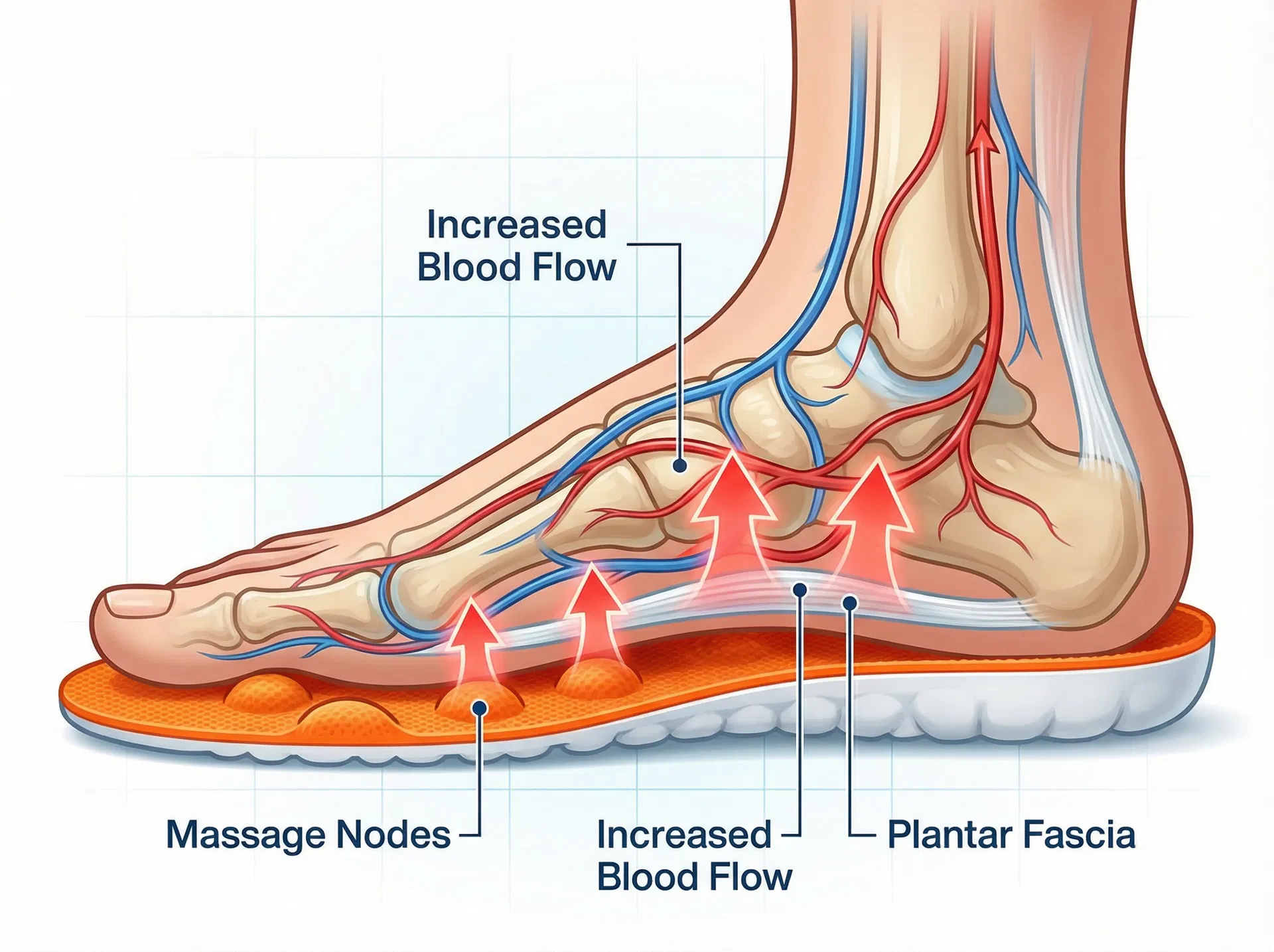 Educational diagram showing massage nodes on an insole and arrows indicating increased blood flow and support along the plantar fascia area